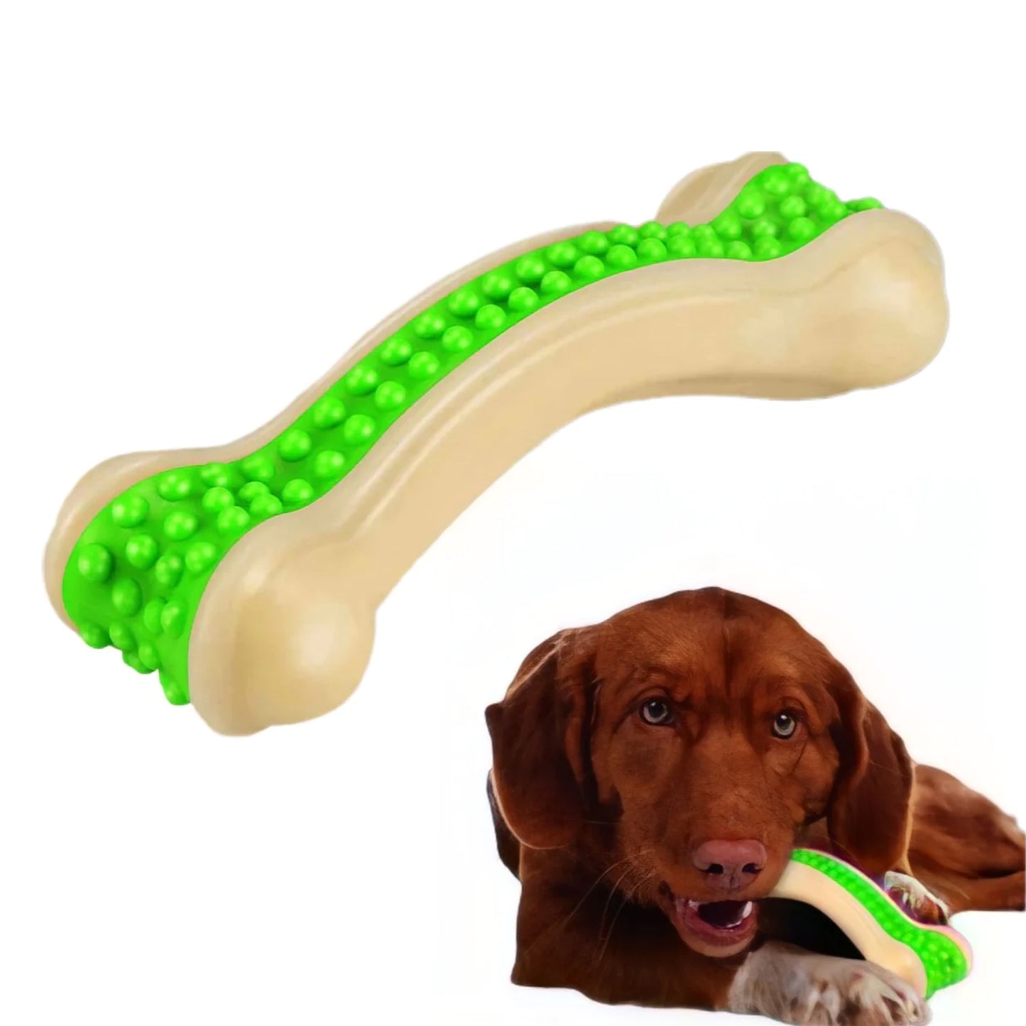 Smarty Pet Pet Accessories - Teether Arched Bone