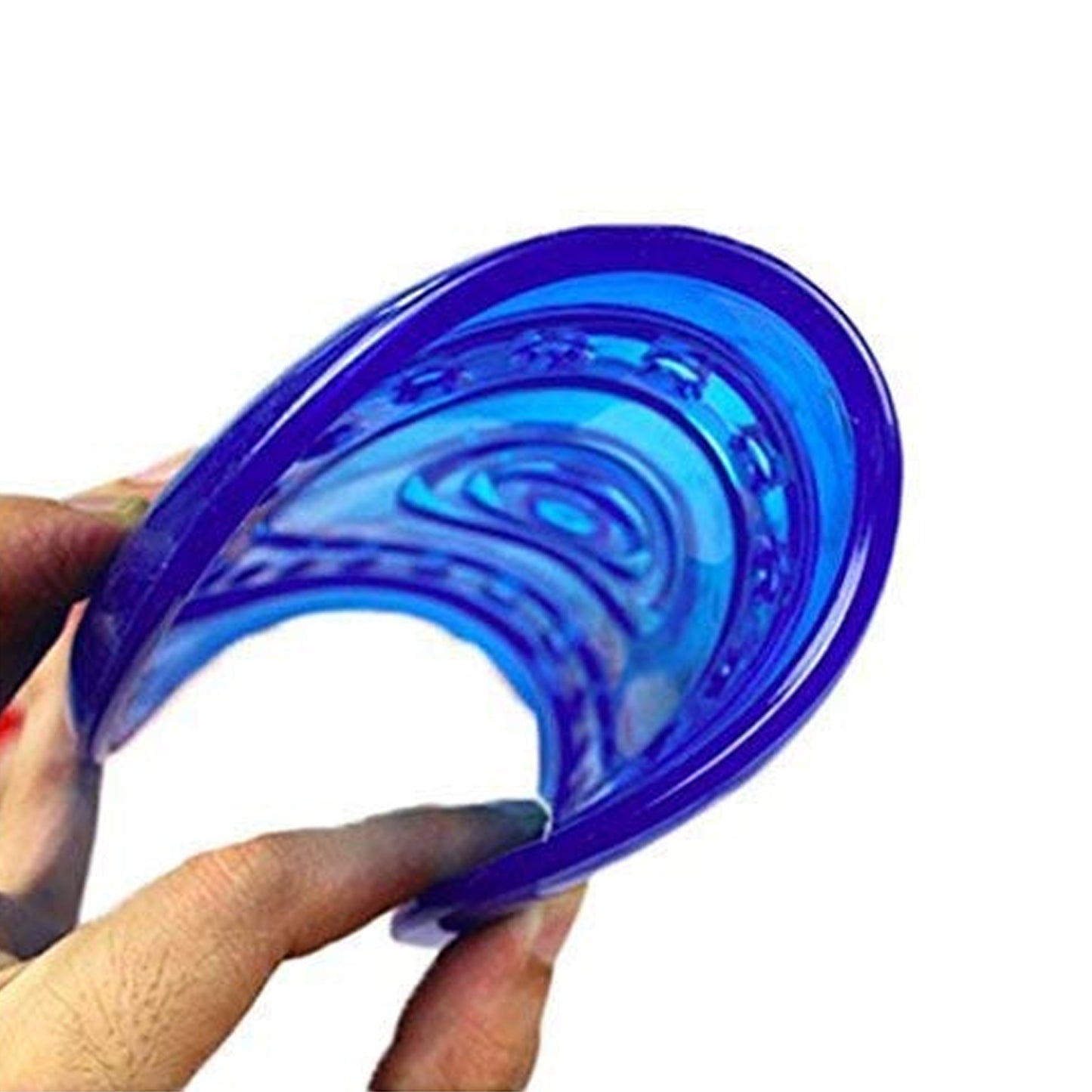 Pets Friend Pets Frisbee