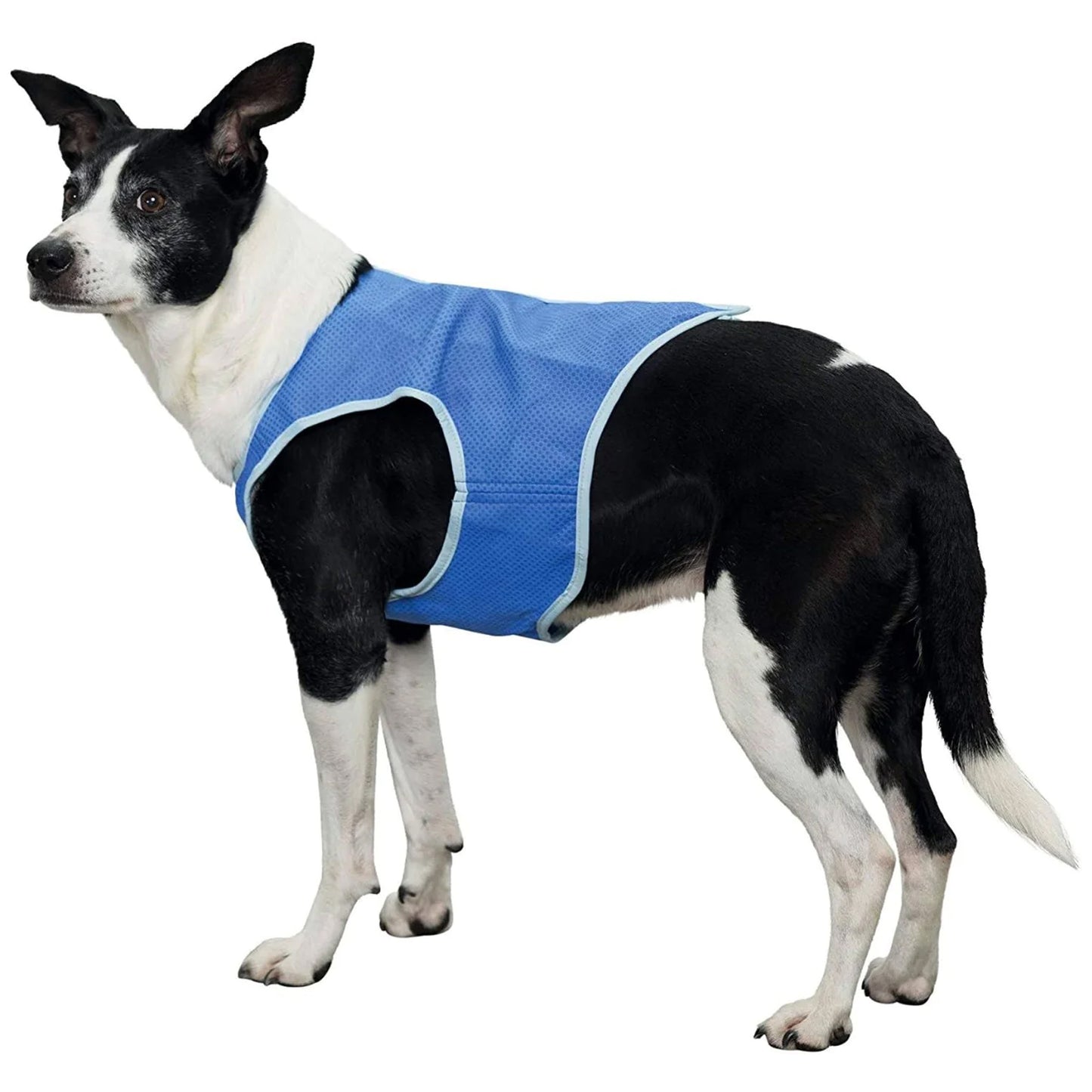 Trixie Cooling Vest