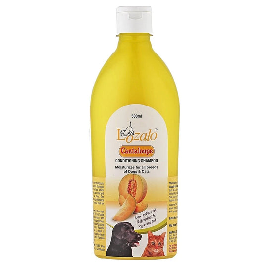 Lozalo 'Cantaloupe' Conditioning Shampoo