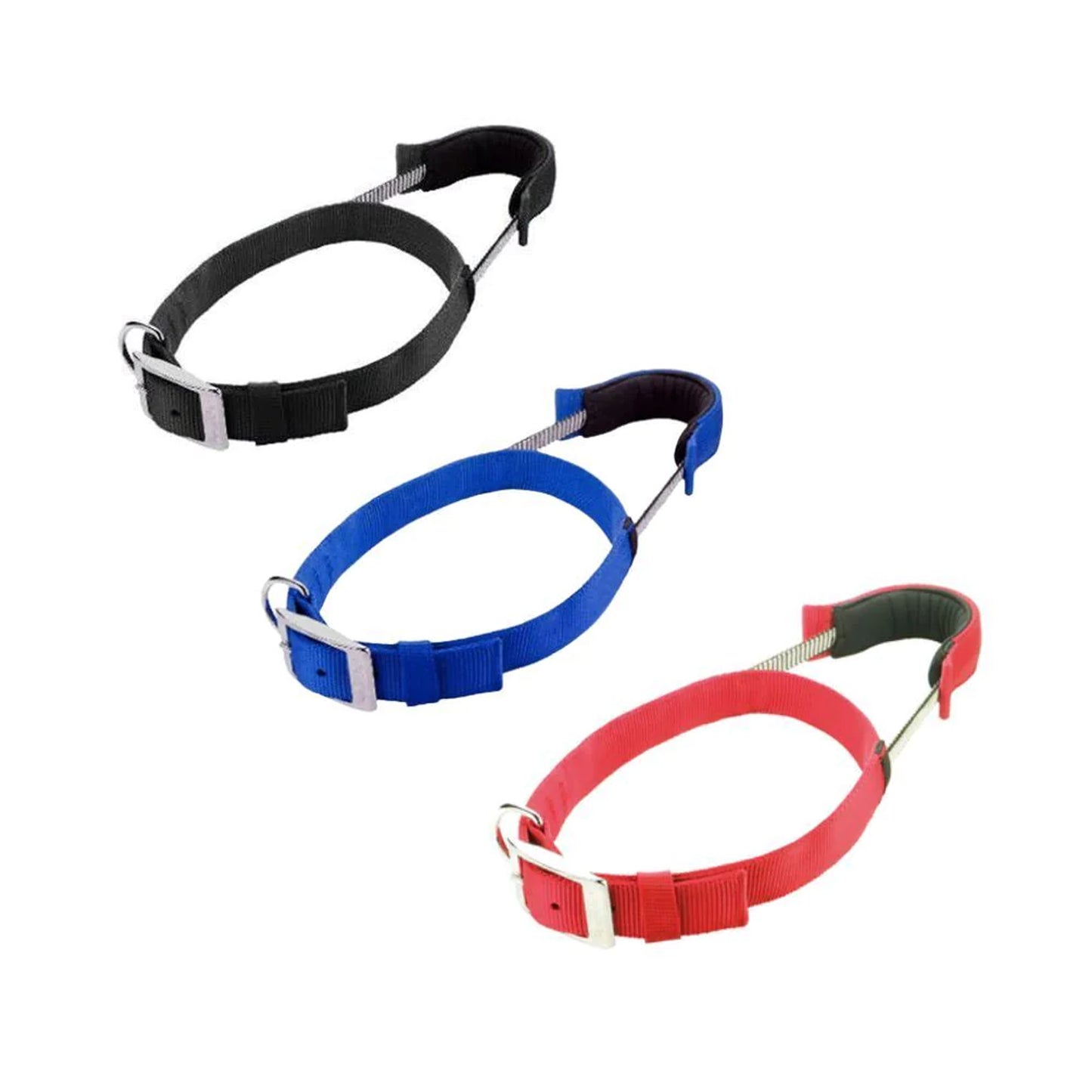 Patento Pet Sports Collar With Integrated Lead For Dog