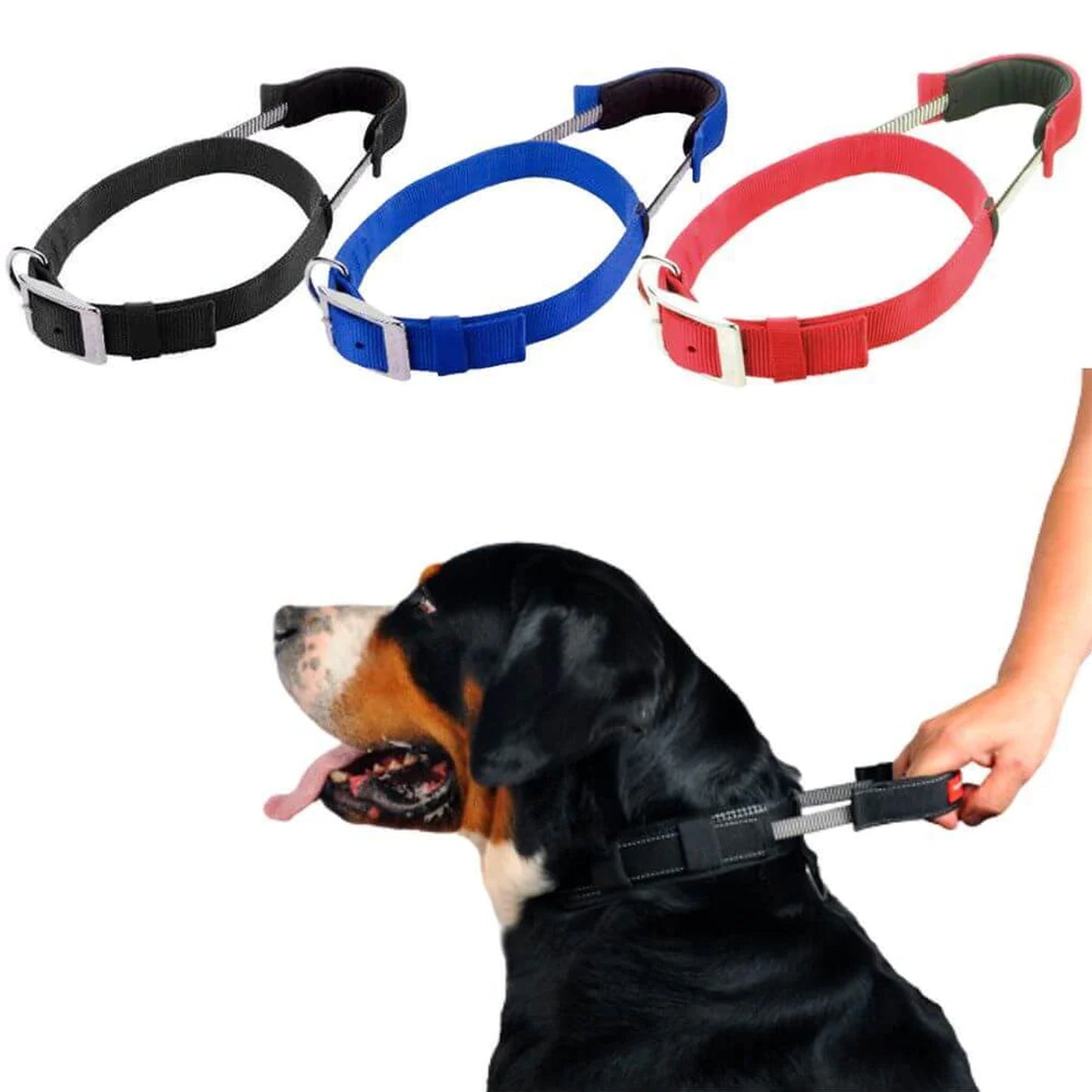 Patento Pet Sports Collar With Integrated Lead For Dog