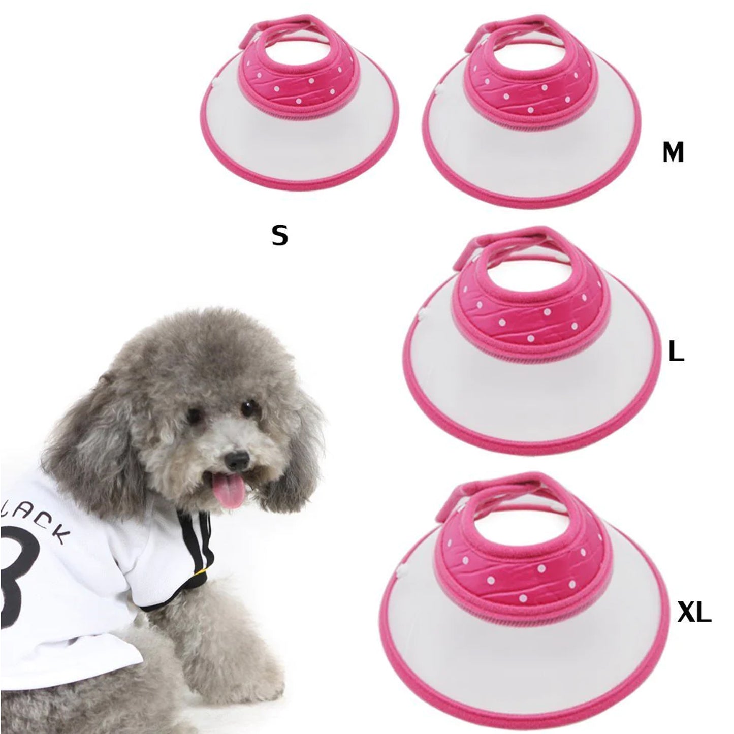 Copy of Patento Pet Sports Collar With Integrated Lead For Dog