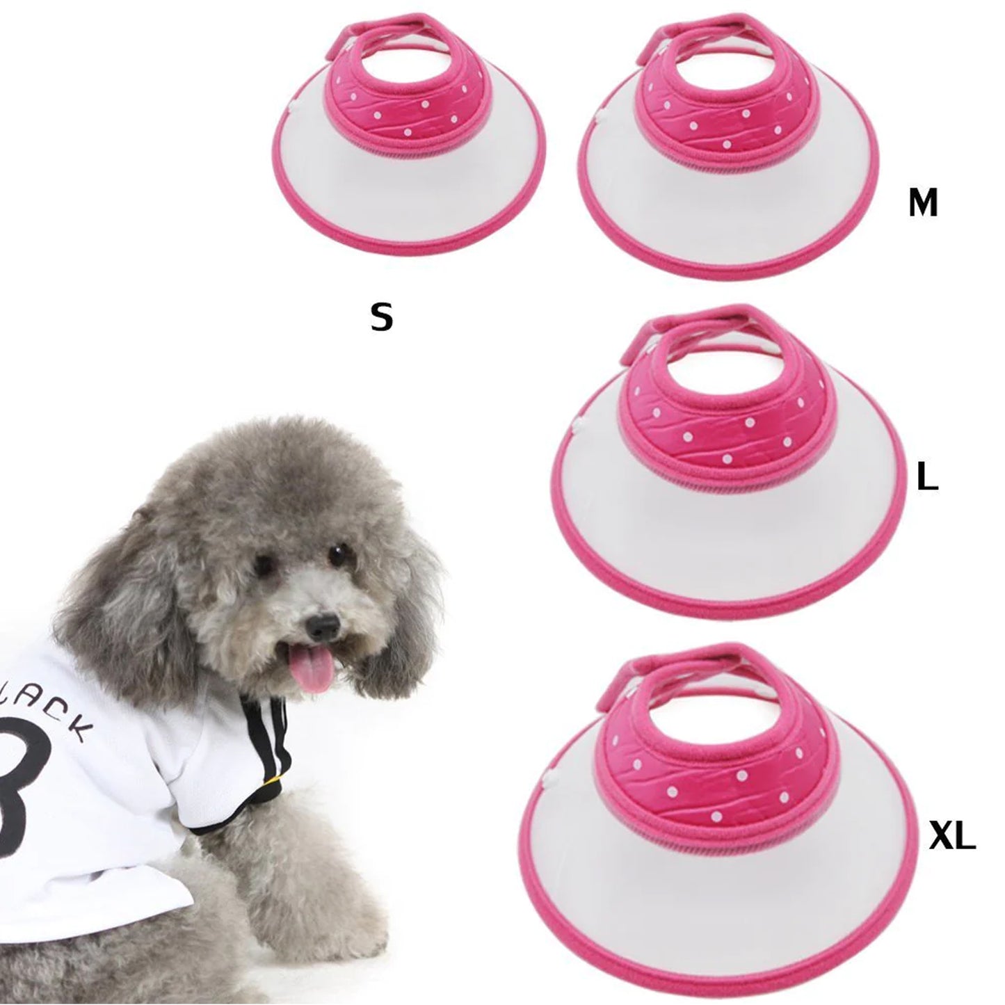 Copy of Patento Pet Sports Collar With Integrated Lead For Dog