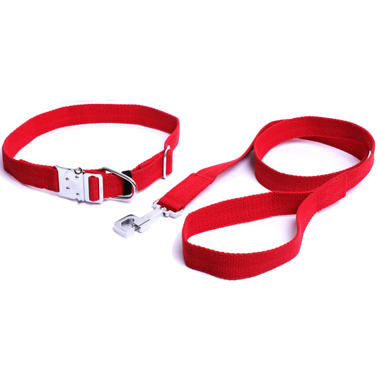 Kennel Click Lock Collar & Lead (W = 1 1/4")