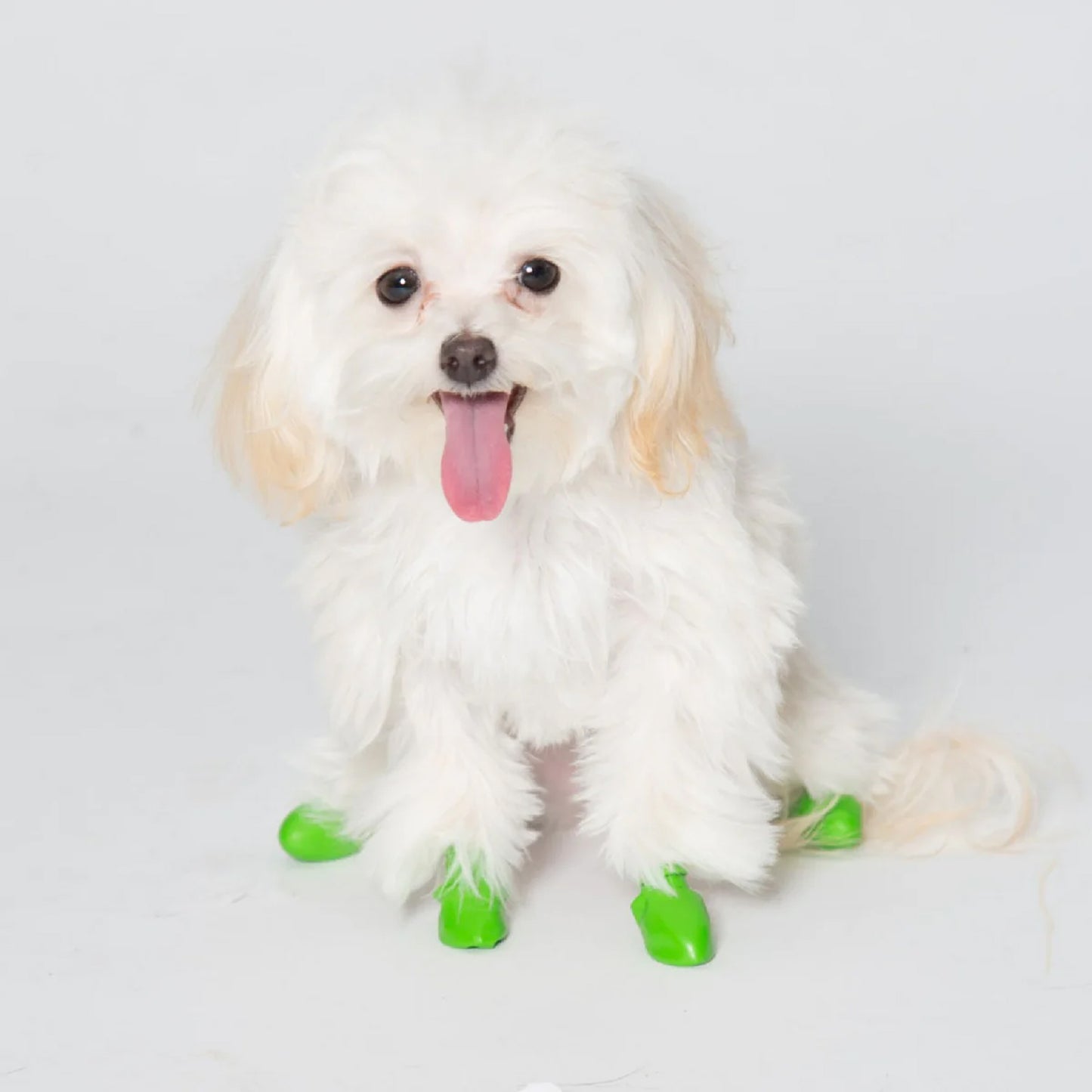 Pawz Rubber Dog Boots - Tiny - Green