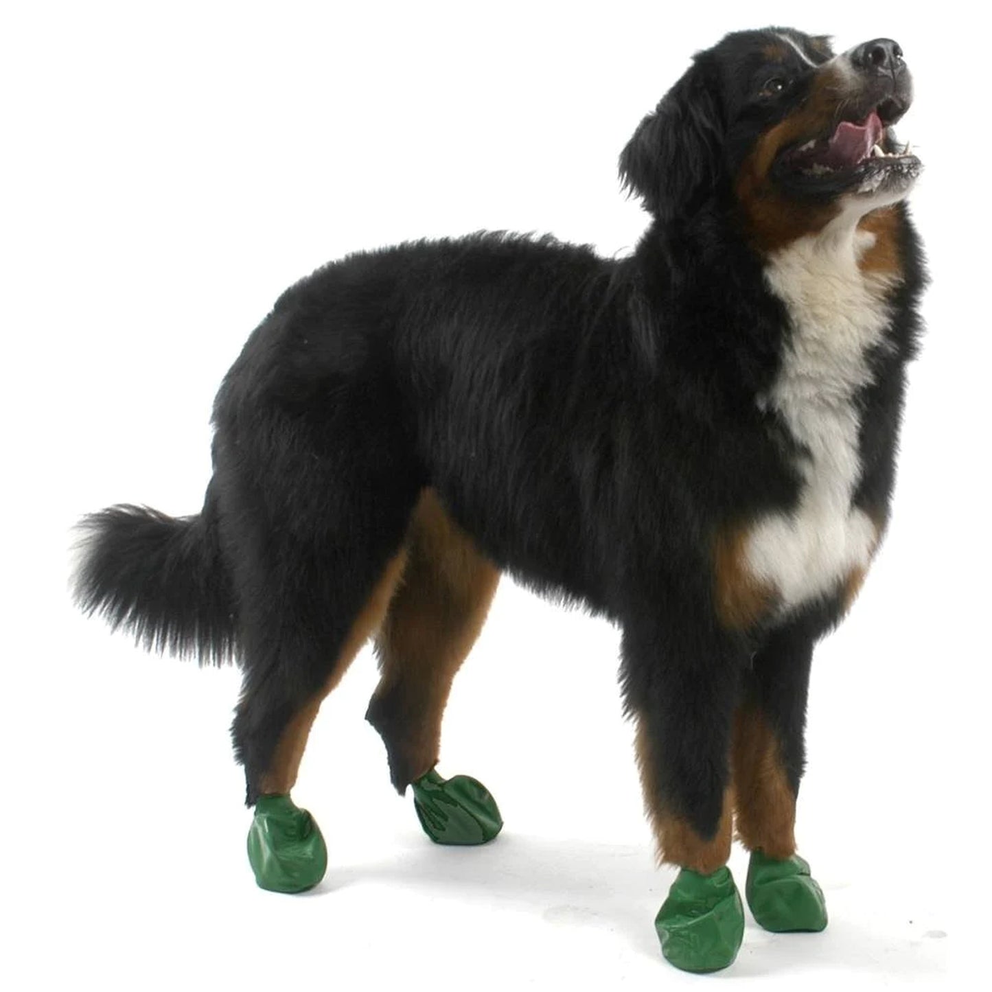 Pawz Waterproof Dog Boots - X Large - Green 12 PCS