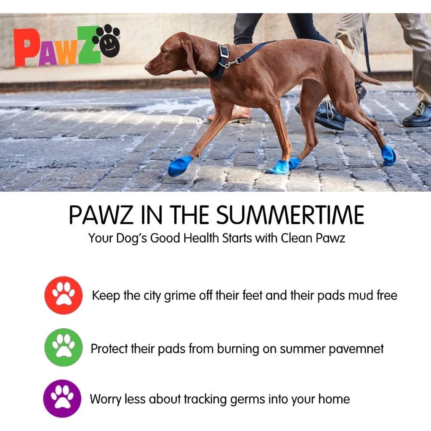 Pawz Waterproof Dog Boots - Medium - Blue 12 PCS