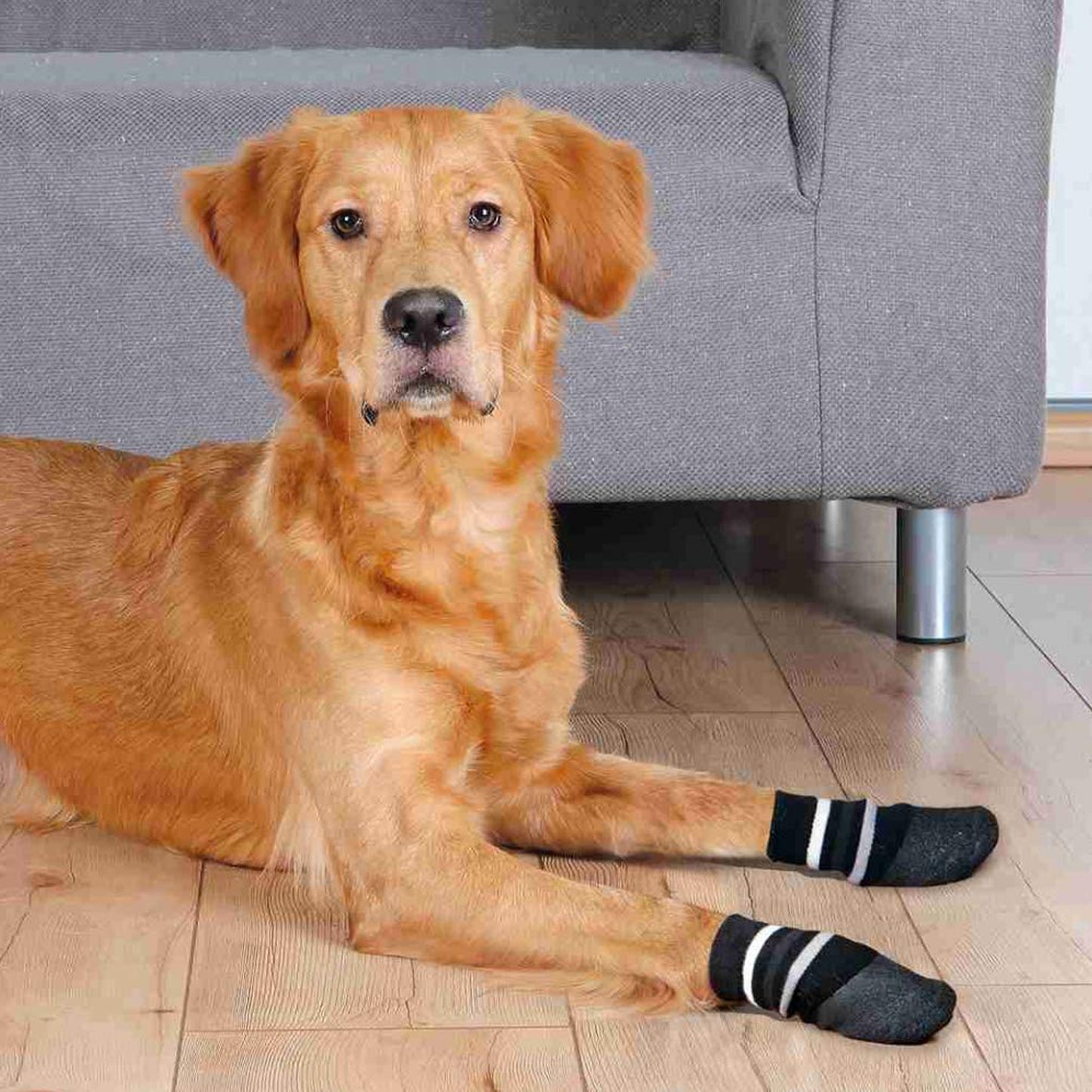 Trixie Hundesocken Non - Slip Dog Socks With Rubber Coating